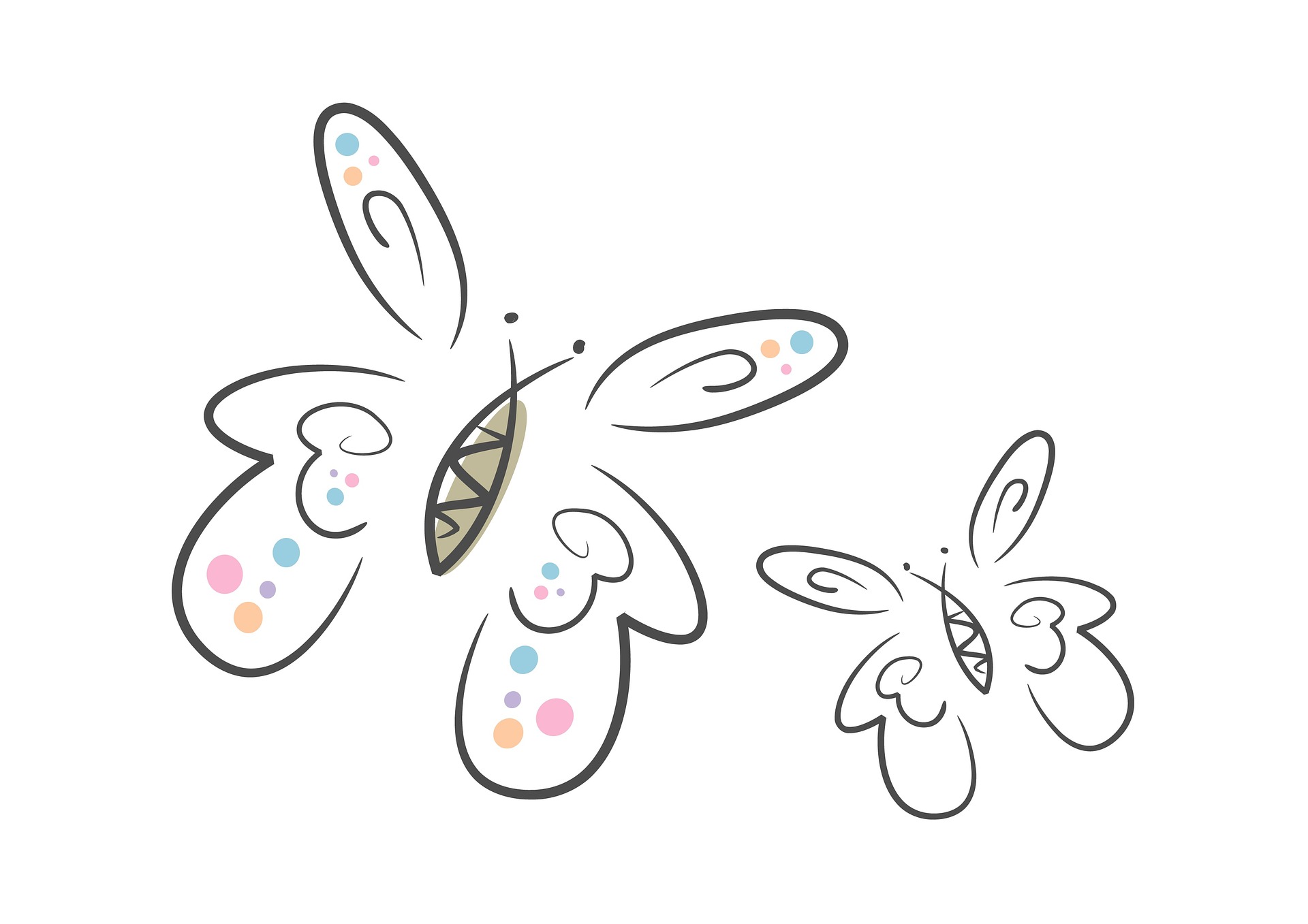 illustration of butterflies
