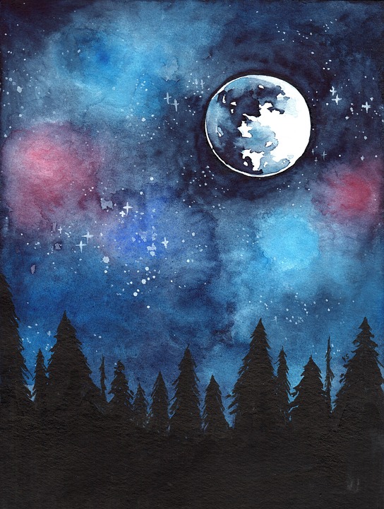 moon and trees with starry background 