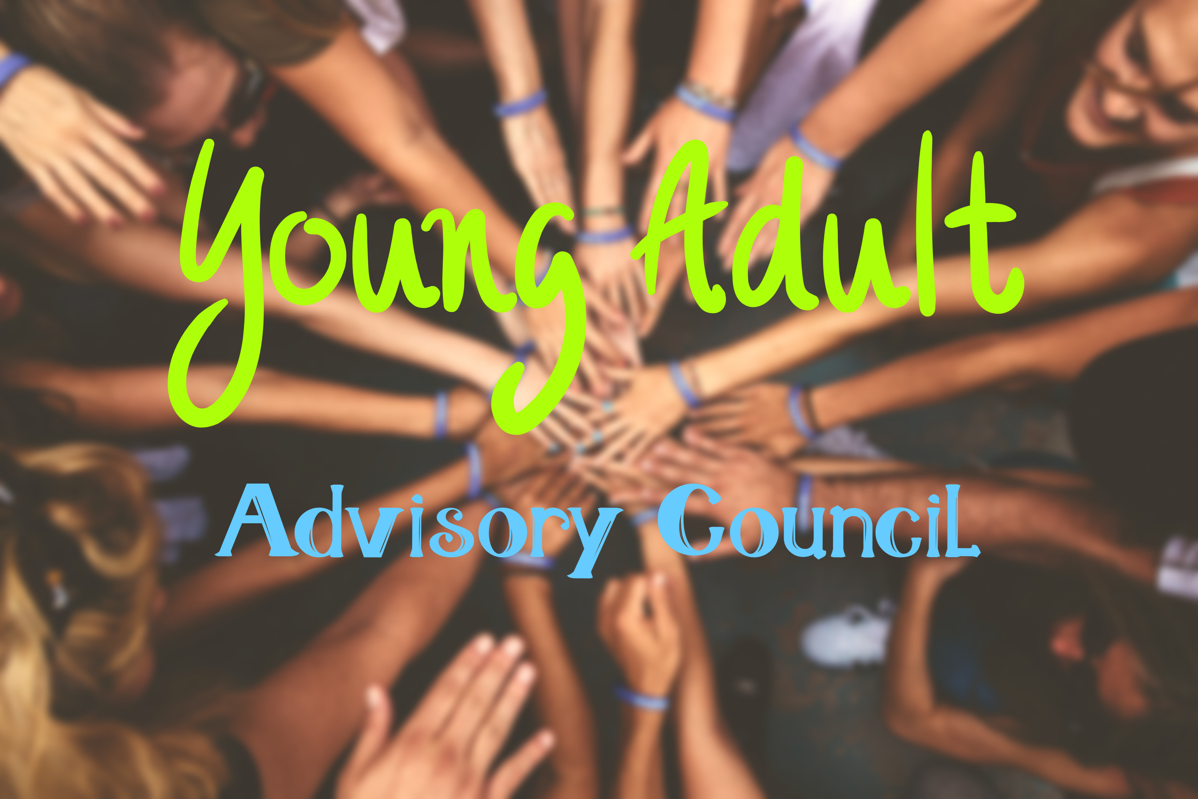 YA Advisory Council