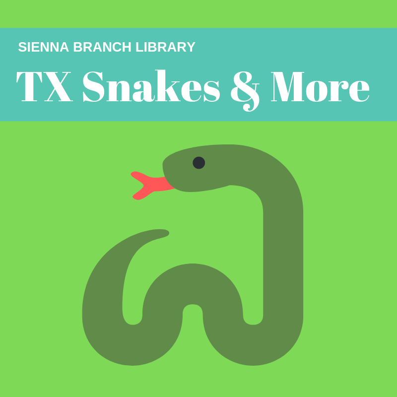 TX Snakes flyer