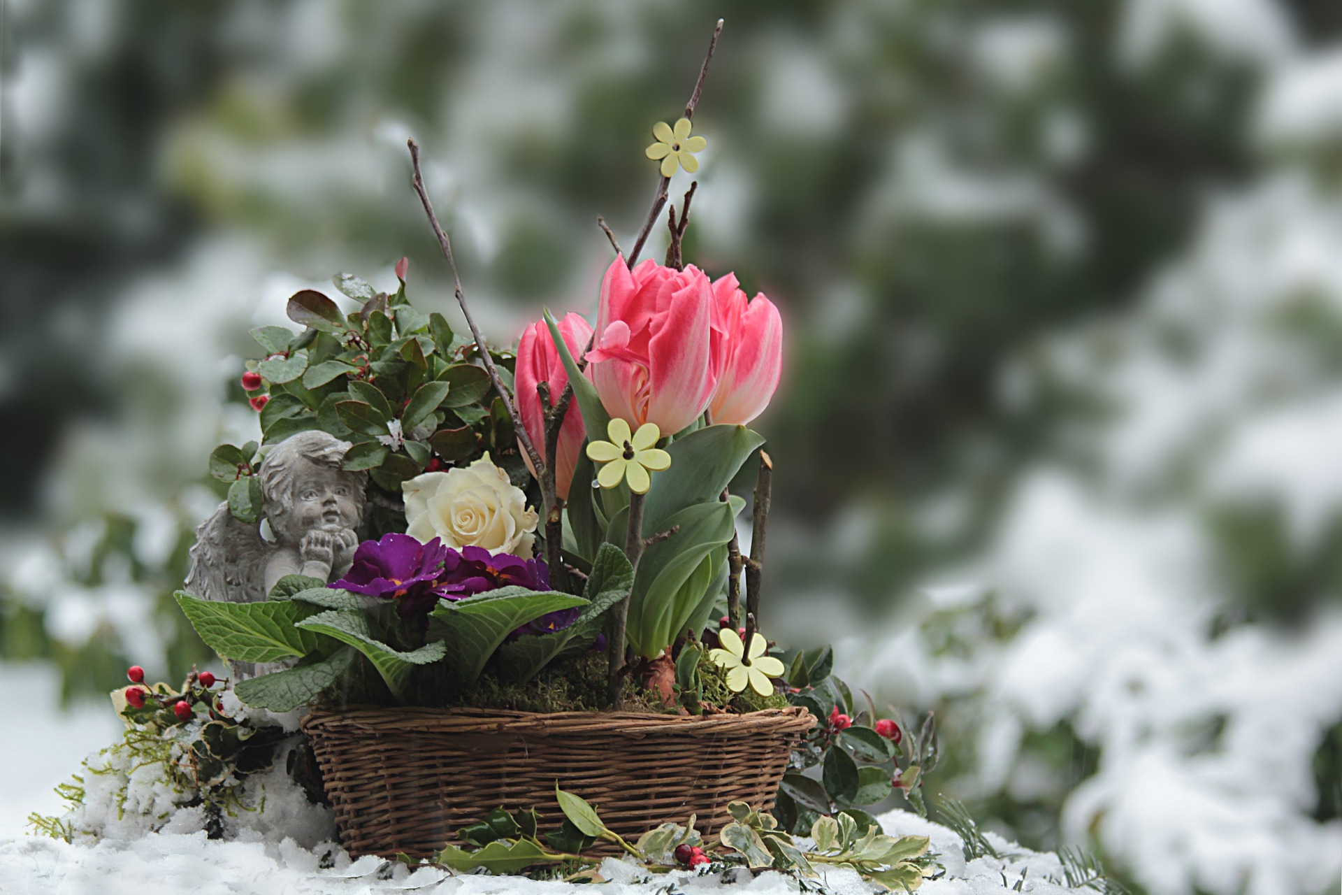 flowers in a basket in winter