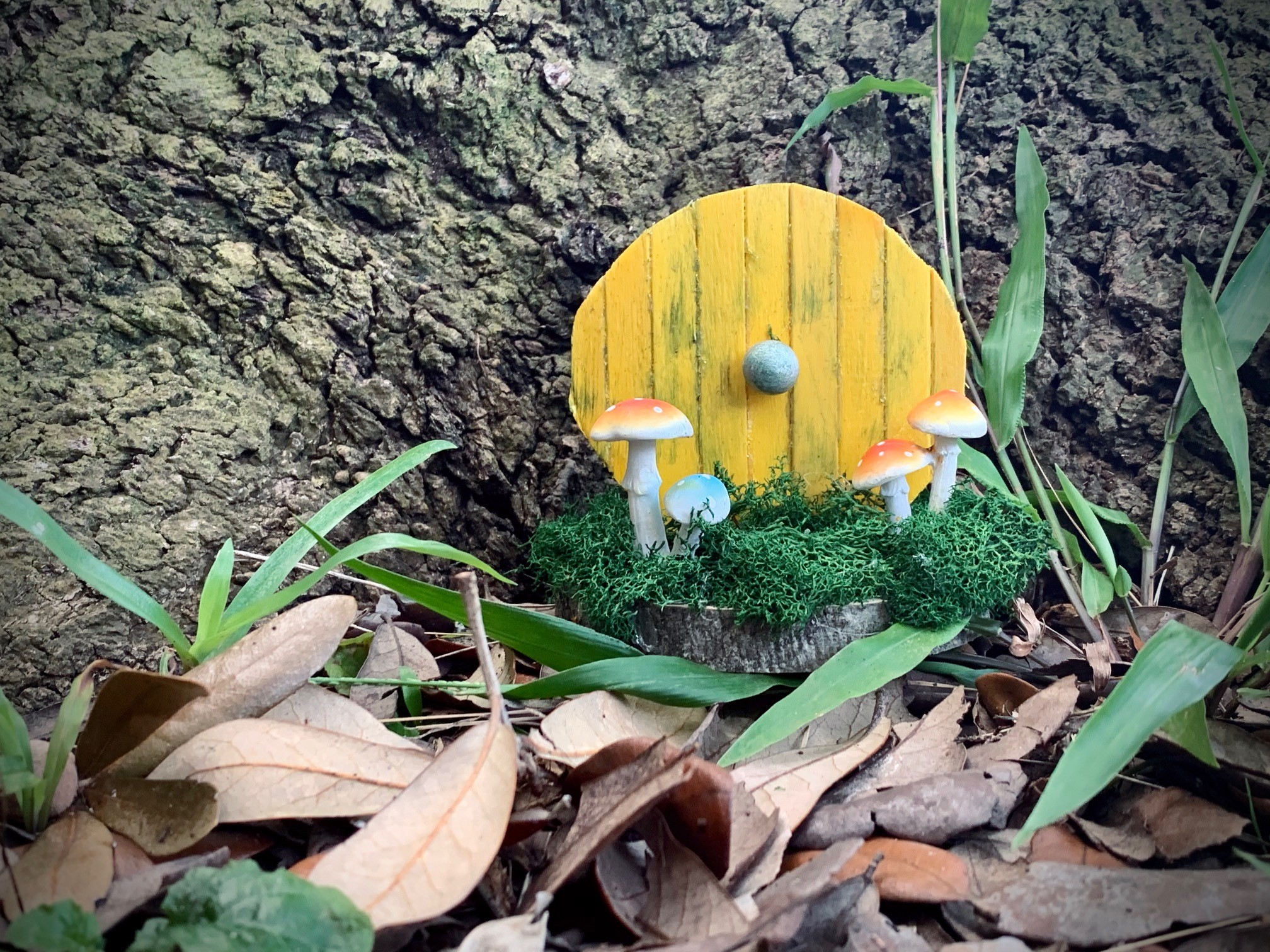 small, round yellow door leaning against tree trunk
