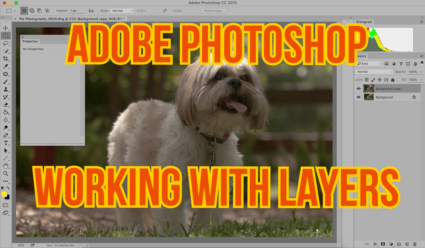 Adobe Photoshop: working with layers thumbnail