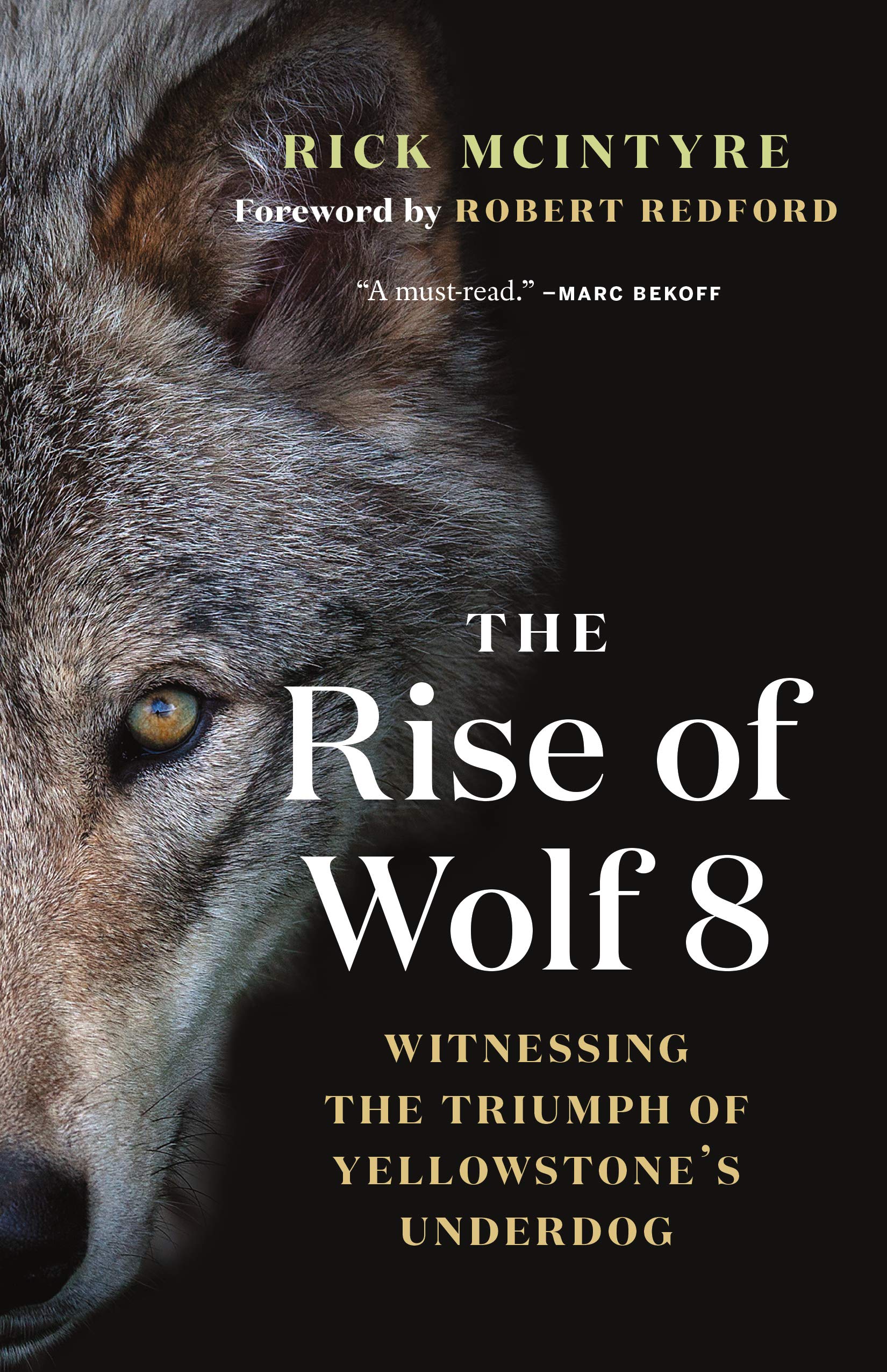 Book cover art: Half of a wolf's fact, covering the left half of the cover.  The title of the book is in the center.