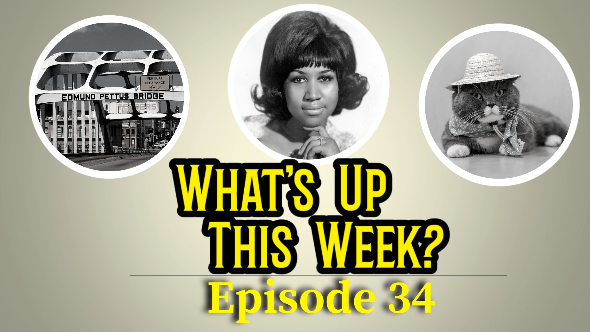 Text: What's Up This Week? Episode 29. 3 images in circles: the Edmund Pettus Bridge, Aretha Franklin, and a cat with a hat on its head.