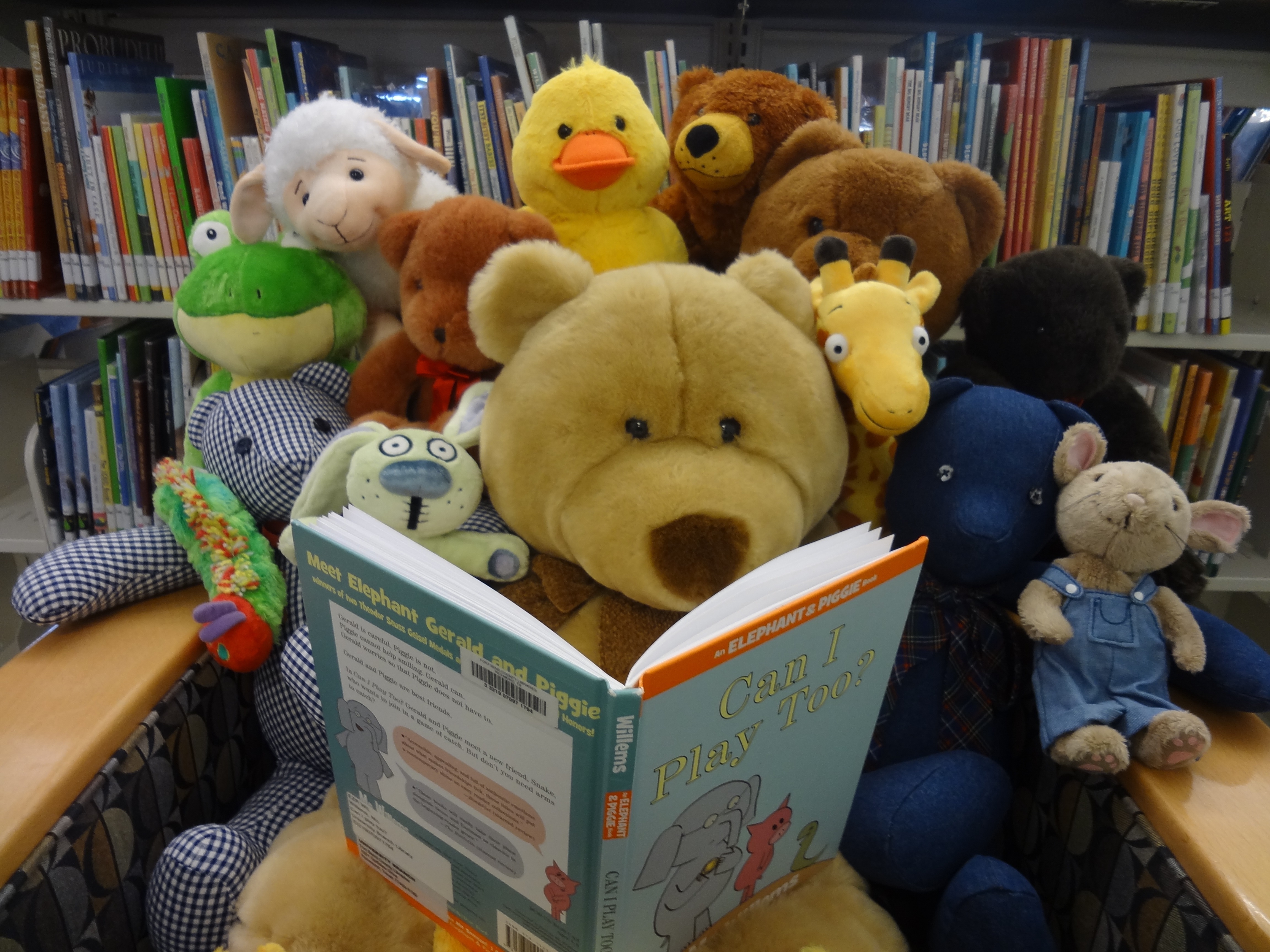 Teddy Bears reading a book