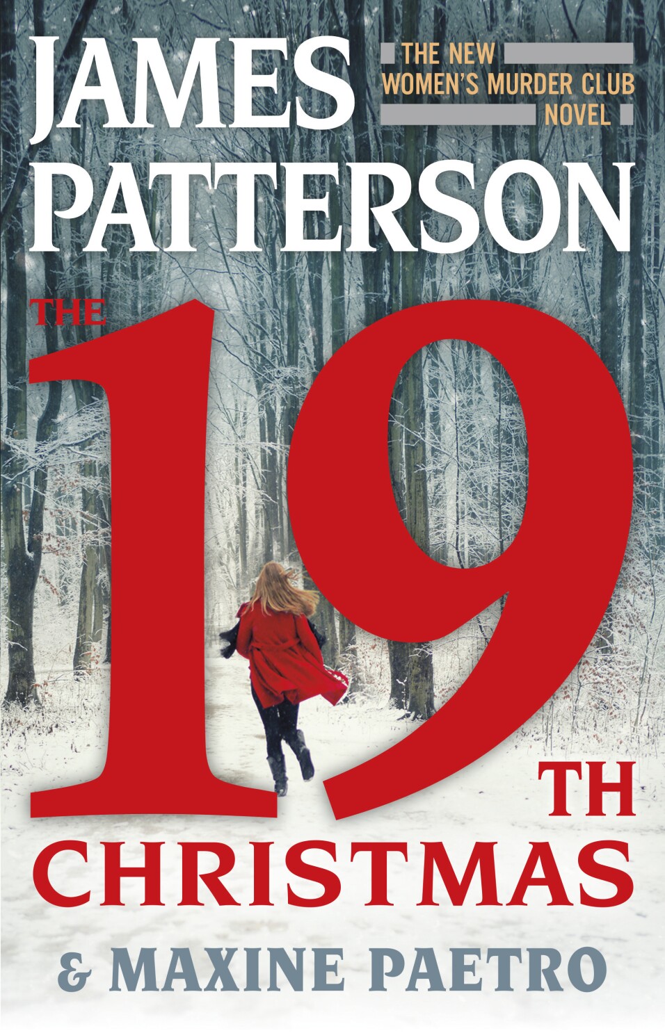 cover of The 19th Christmas by James Patterson