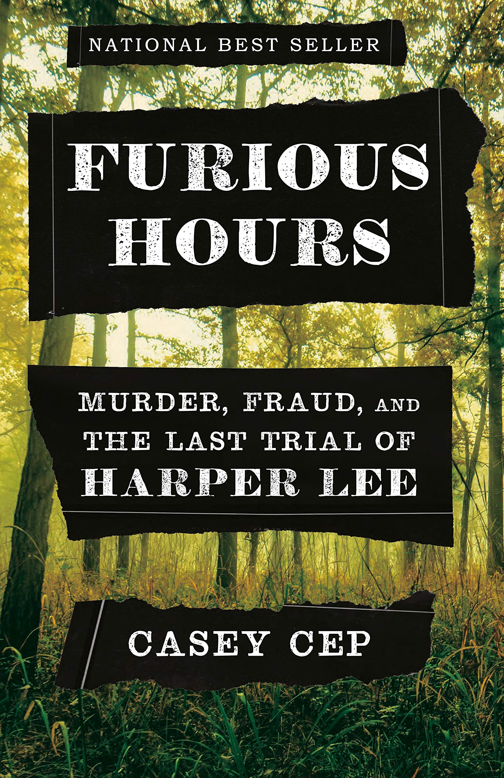 cover of Furious Hours by Ceb Casey
