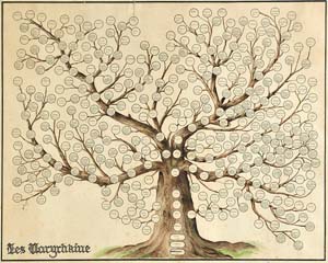 image of a genealogy tree