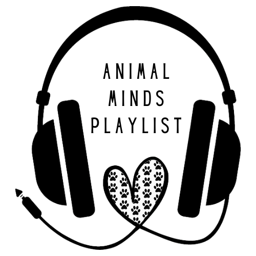 Clip art style headphones.  The cord to the headphones creates a heart.  The inside of the heart contains a paw print pattern.  "Animal Minds Playlist" appears between the headphones, above the heart.