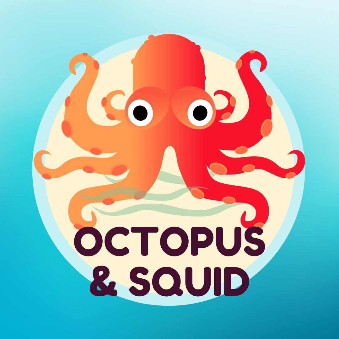 Octopus and squid themed story time