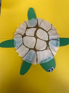The Coffee Filter Turtle!