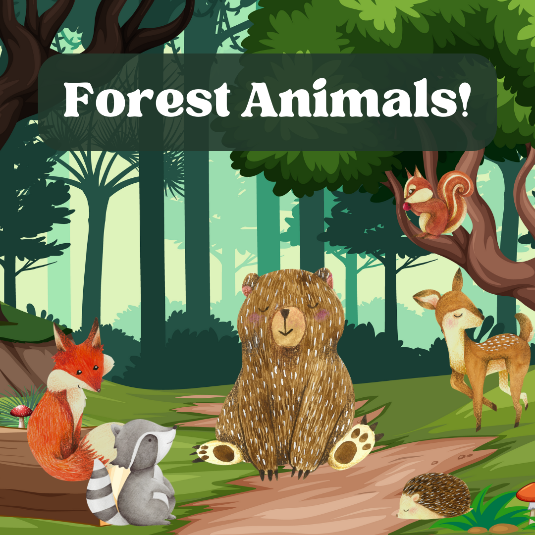 Forest Animals Themed Story Time