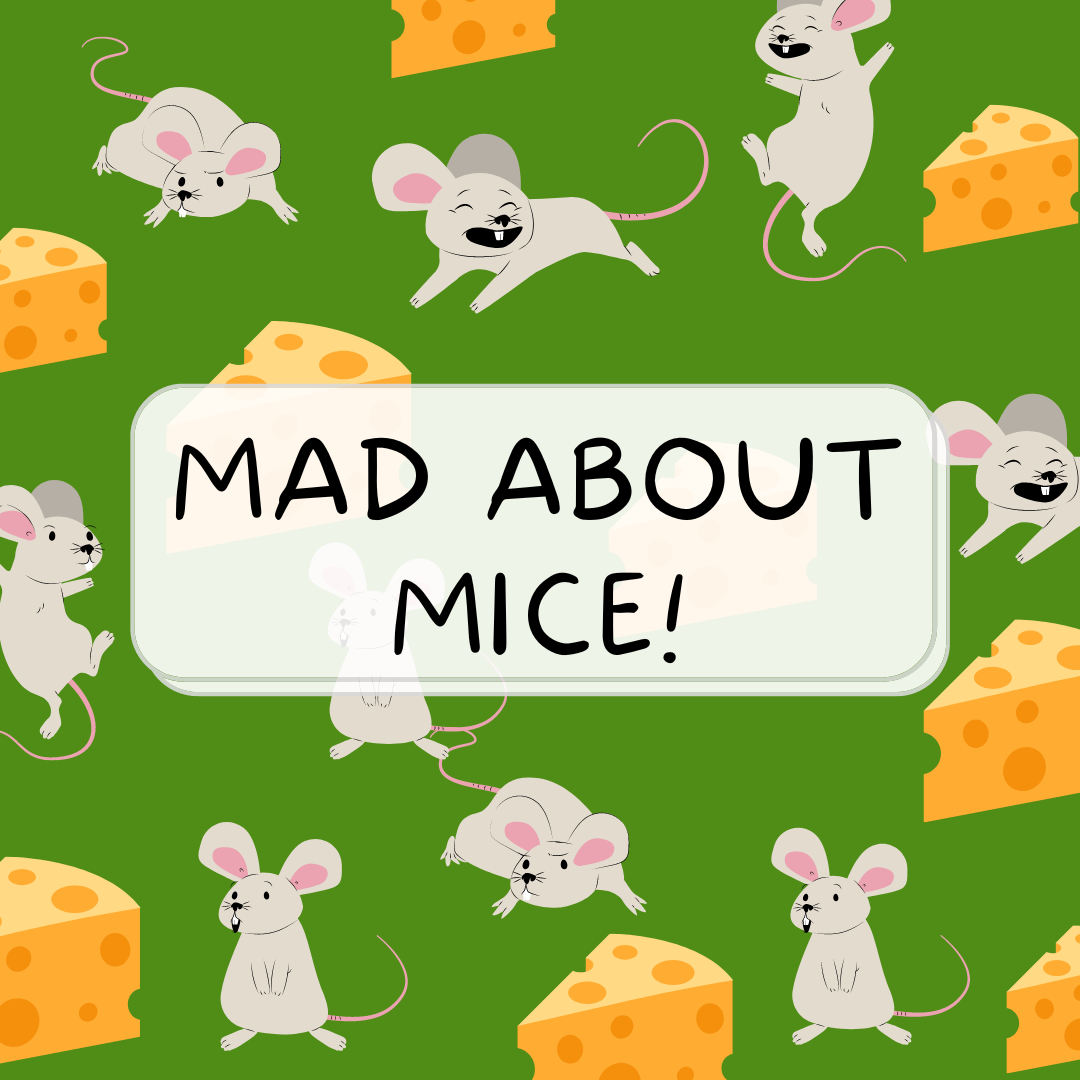 Mice Themed Story Time
