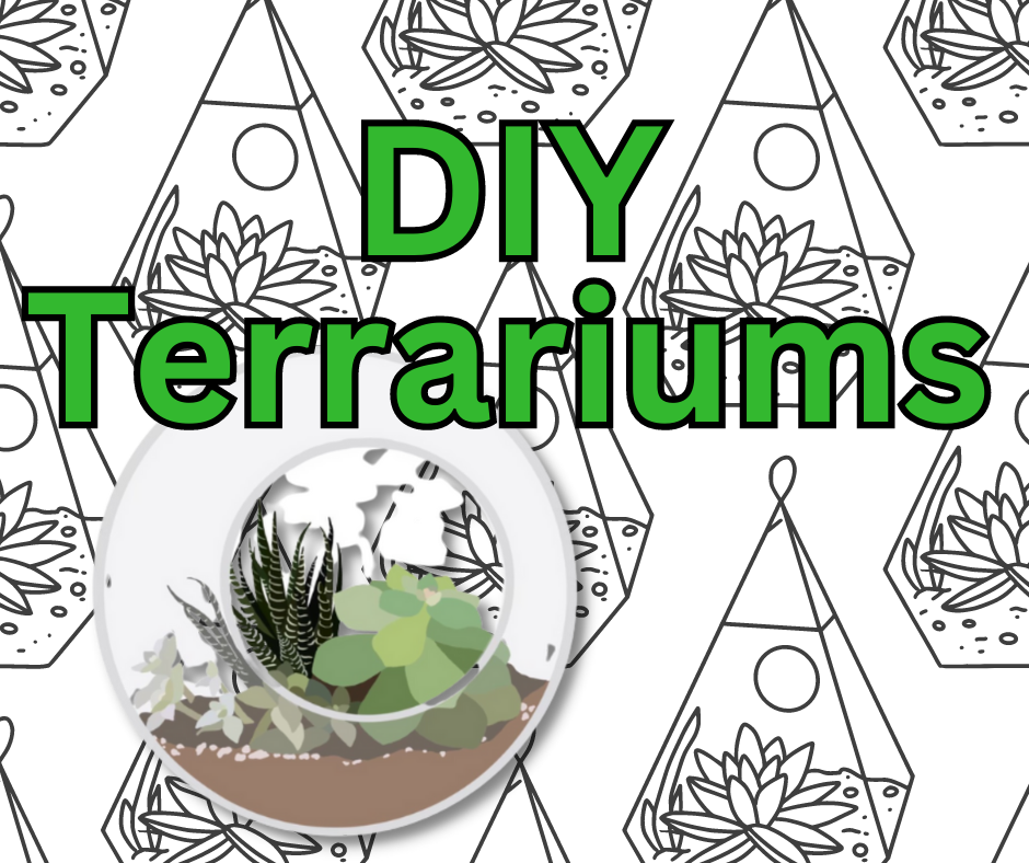 Graphic of some plant terrariums