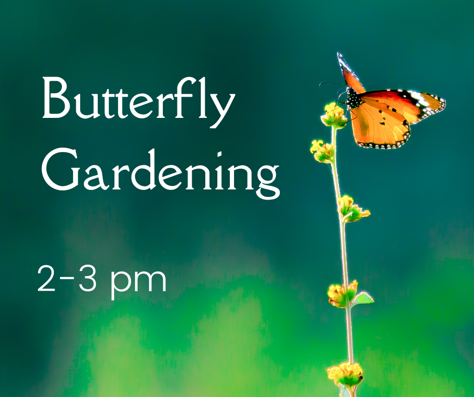 "Butterfly Gardening" and "2-3 pm" in white text, set against a background image of a butterfly sitting on a flower with a green background.