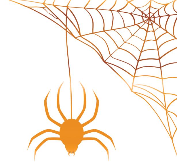 illustration of spider and web