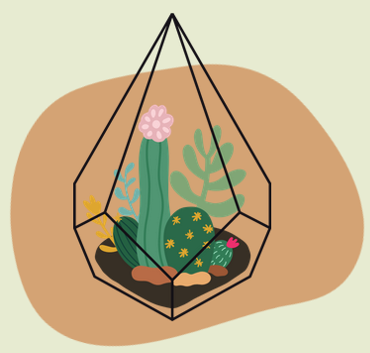 Mini terrarium with cacti