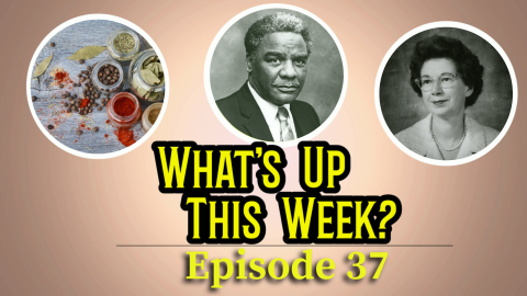 Text: What's Up This Week? Episode 37. 3 images in circles: herbs, Harold Washington, Beverly Cleary