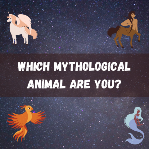 Square image with a centaur, unicorn, phoenix, and mermaid that reads "Which Mythological Animal are You?"