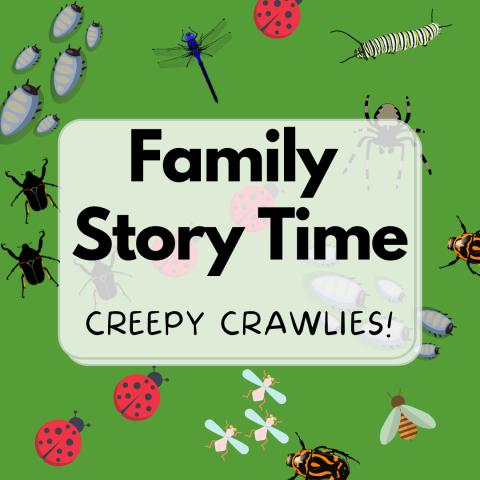 Insects themed story time