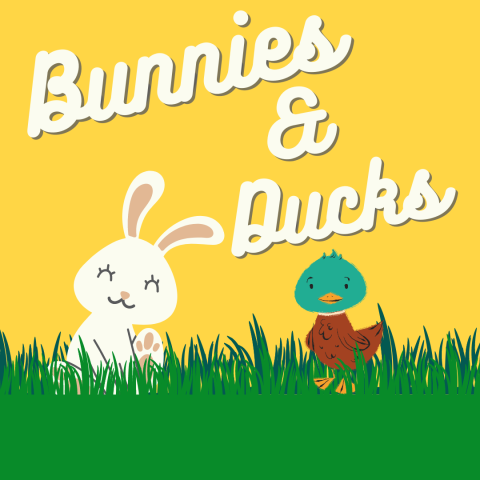 Bunnies and ducks themed story time