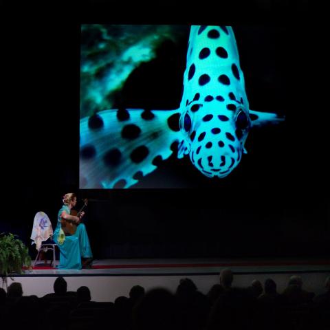 The Aquarium: A Marine Micro Ballet performed by Susan McDonald
