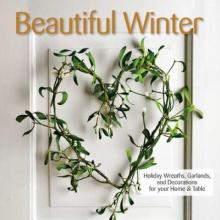 Book cover "Beautiful Winter"